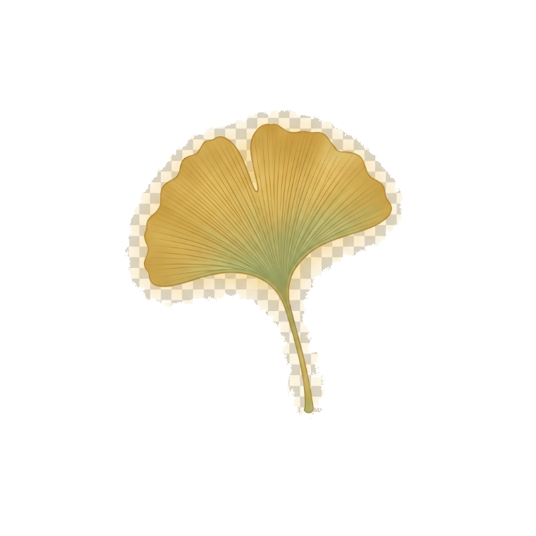 Ginkgo biloba