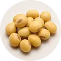 Phosphatidylserine