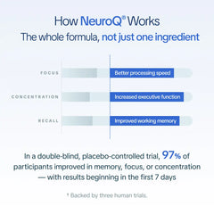 Memory & Focus