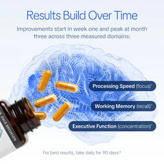 Memory & Focus