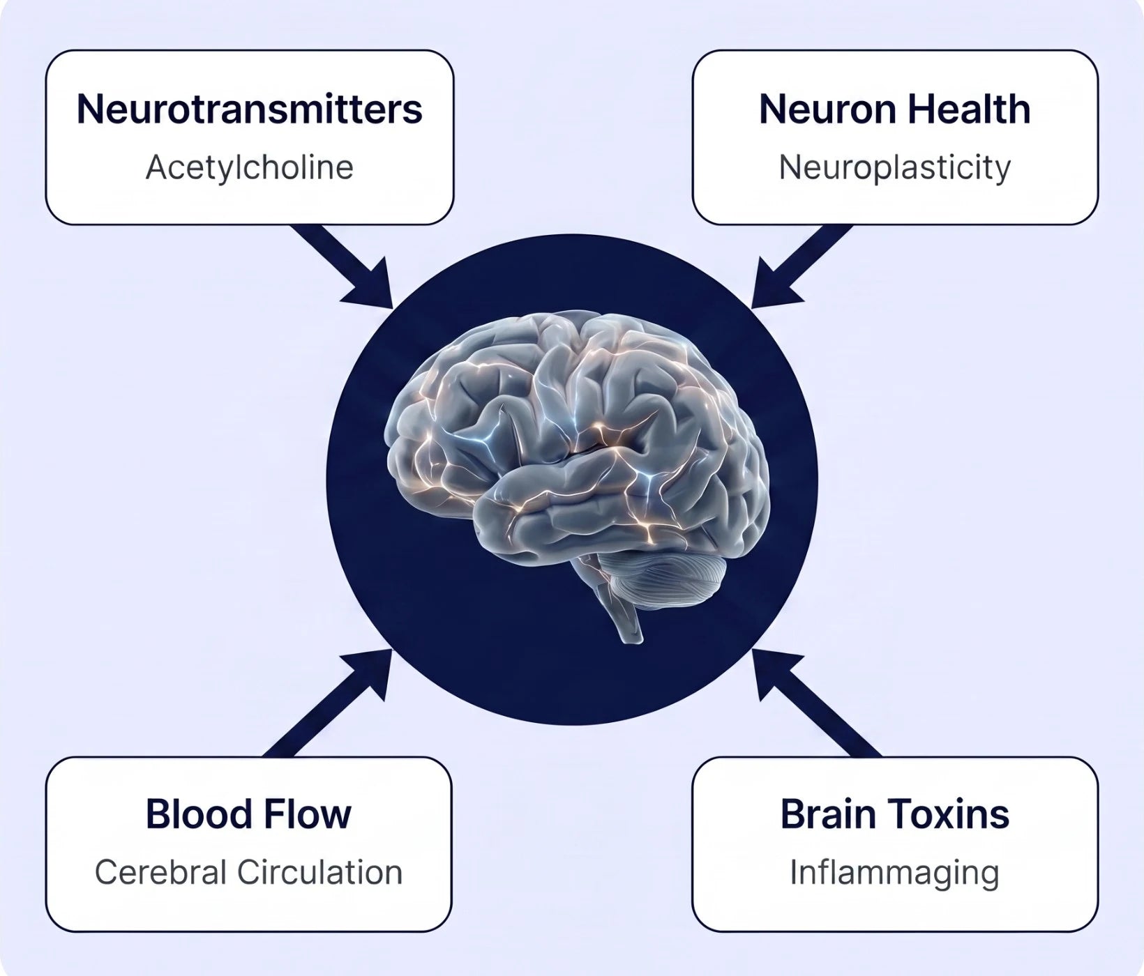 Diagram: the four root causes of age-associated mental decline, neurotransmitters, neuron health, blood flow, and brain toxins, surrounding the aging brain.