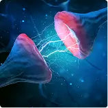 Reduction in Neurotransmitters