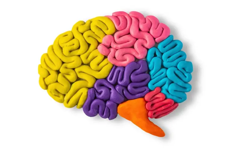 NeuroQ colorful brain